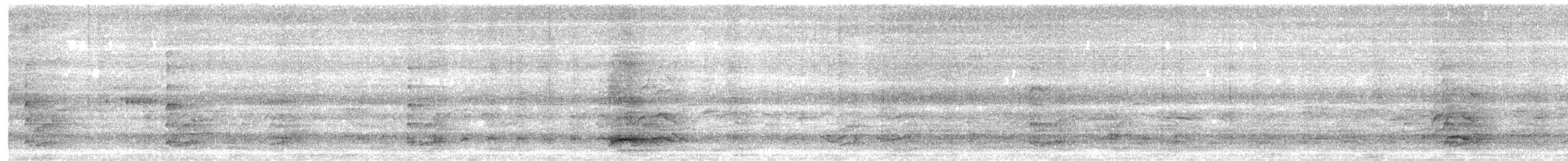 Franklin's Gull - ML639147458