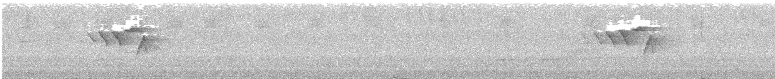ハゴロモムシクイ - ML639151319
