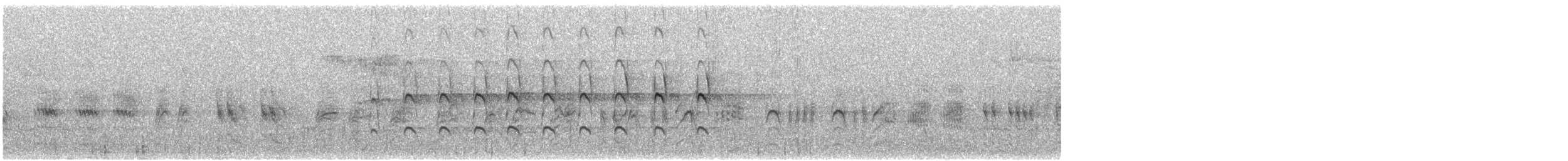 Цоохор тоншуул - ML639153257