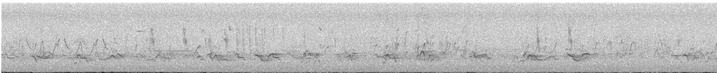 Sedge Wren - ML639155502