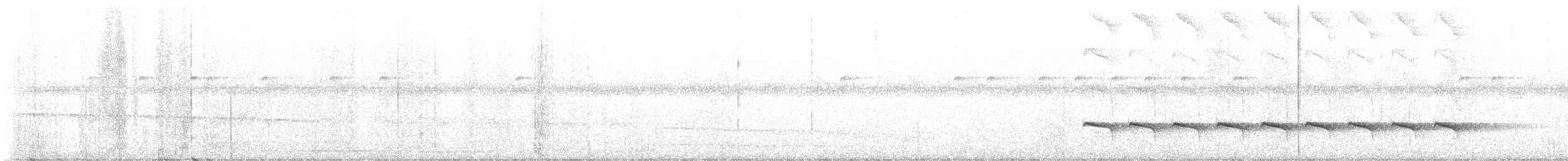 Sooty Antbird - ML639156210