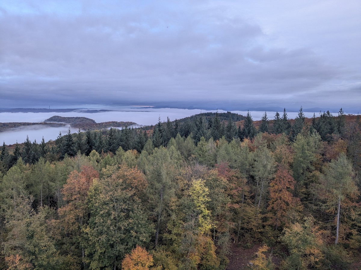 null - ML639157457