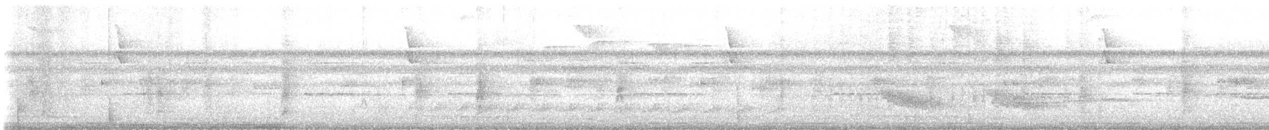 hummingbird sp. - ML639159482