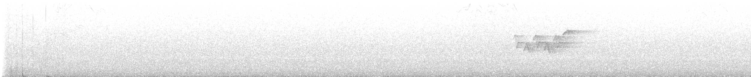 Magnolia Warbler - ML639160193