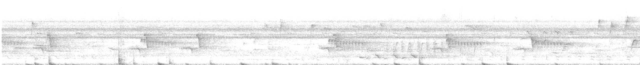 Oriental Pied-Hornbill - ML639162849