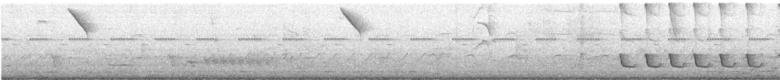 White-winged Becard - ML639163823