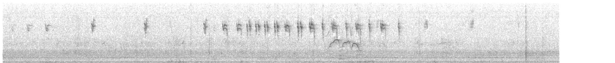 svarthettebisp - ML639163962