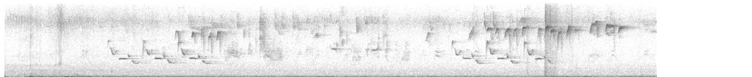 チャバラマユミソサザイ - ML639164148