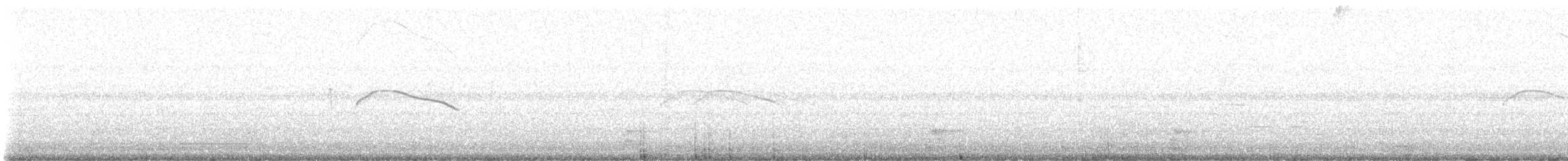 hvithalenattravn - ML639165906