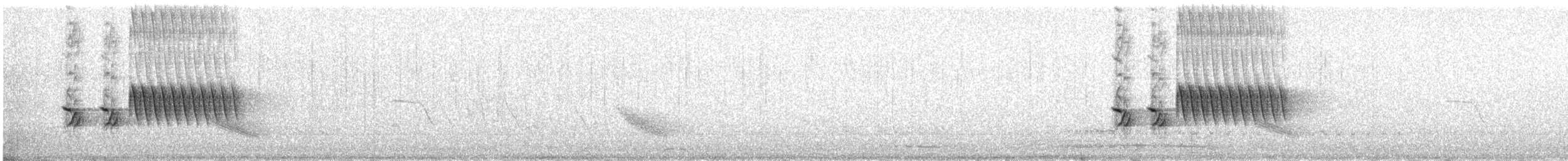 Spotted Towhee (arcticus) - ML639166854