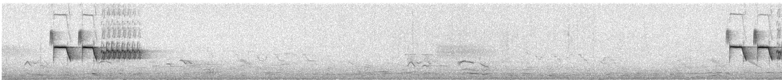 Spotted Towhee (arcticus) - ML639166855