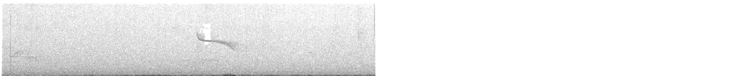 Greenish Elaenia - ML639167365