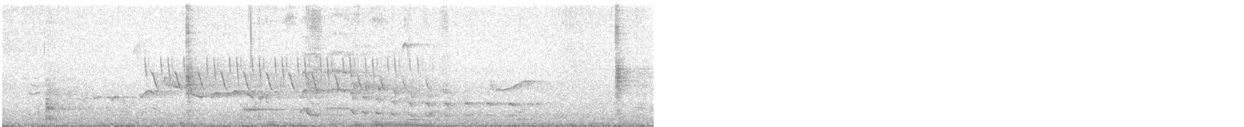 Sora - ML639171118