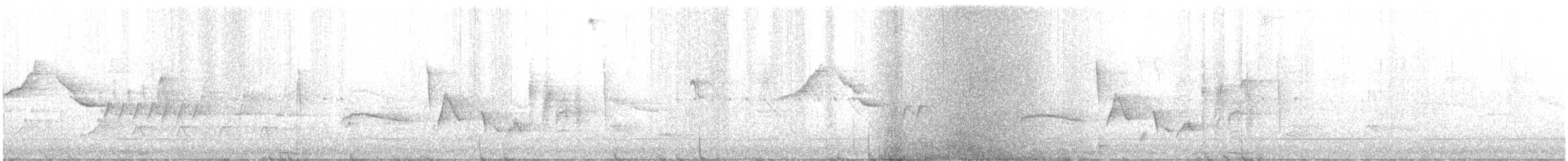 White-eyed Vireo - ML639172962