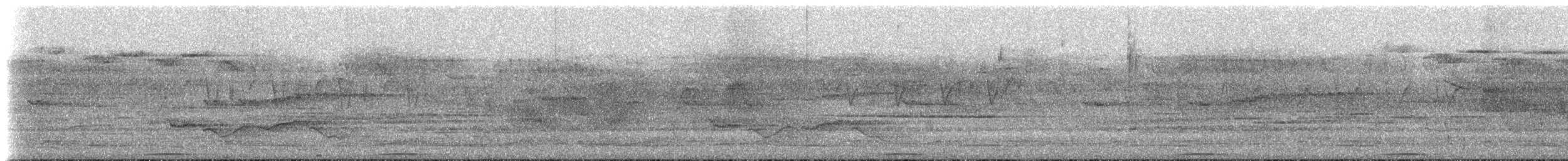 Phasianelle onchall - ML639173002