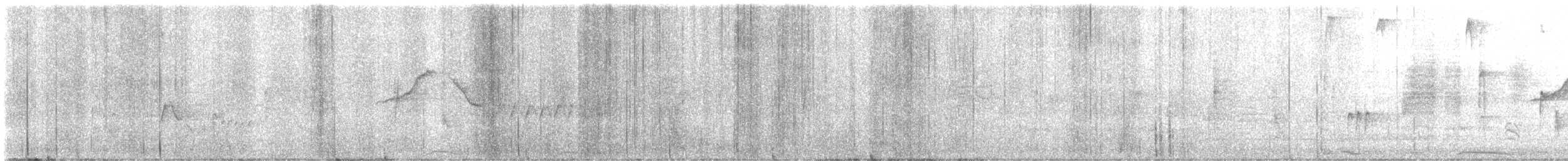White-eyed Vireo - ML639173746