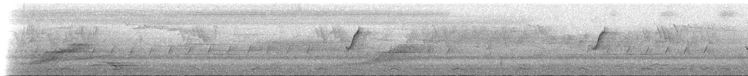 Schwarzbrustprinie - ML639173929