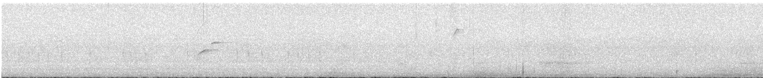 Western Flycatcher - ML639176373