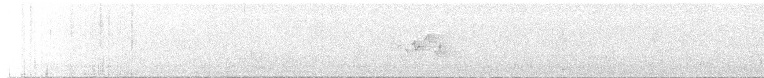 Magnolia Warbler - ML639176454