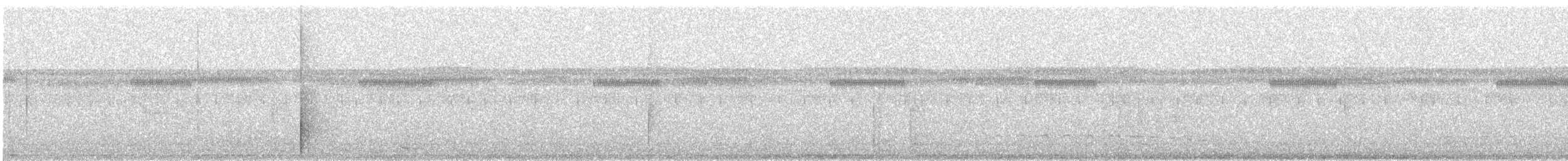 Rufous-vented Ground-Cuckoo - ML639177880