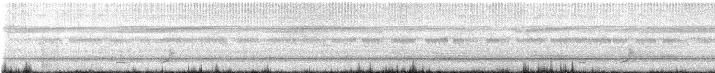 Northern Bobwhite - ML639180809