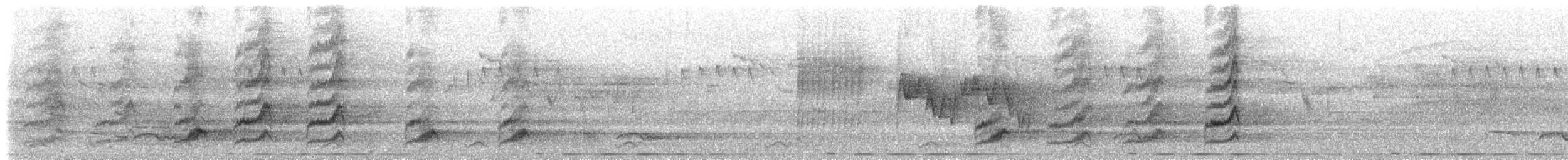 Grammatoptile strié - ML639180829