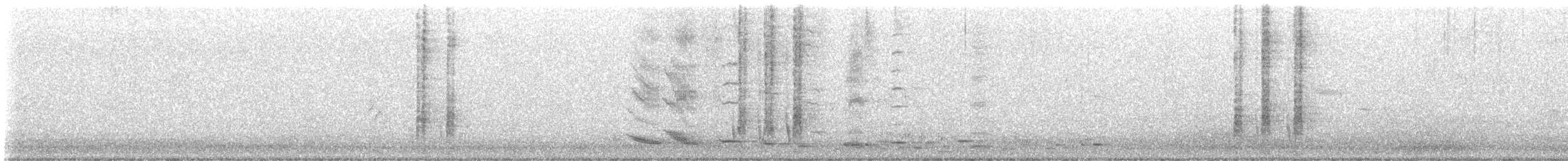Yellow Wattlebird - ML639182262