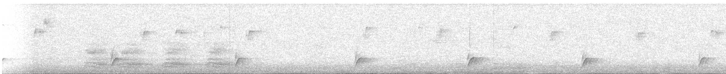 Swainson's Thrush - ML639184268