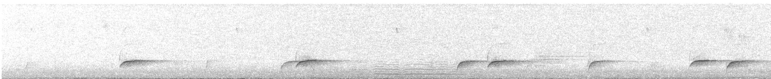 Swainson's Thrush - ML639184274