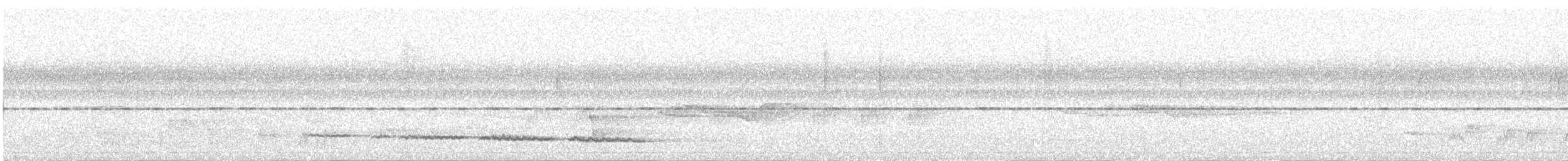 Red-tailed Bristlebill - ML639186751