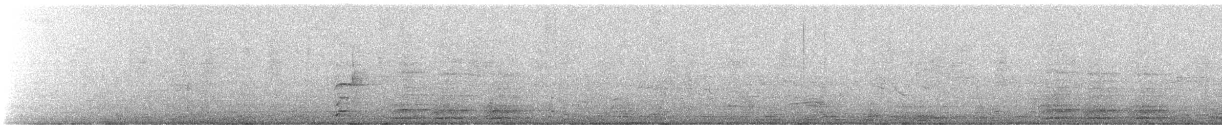 Northern Beardless-Tyrannulet - ML639186861