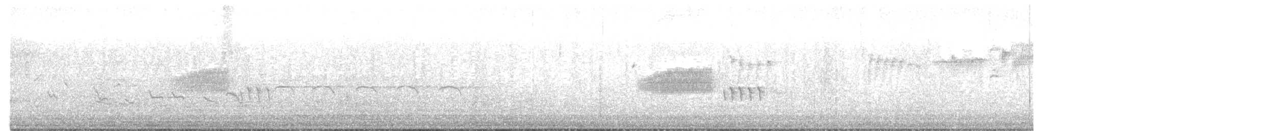 Common Swift - ML639194723