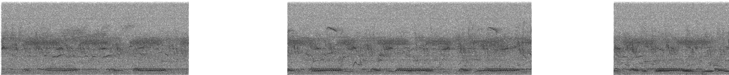 Ring-necked Dove - ML639194890