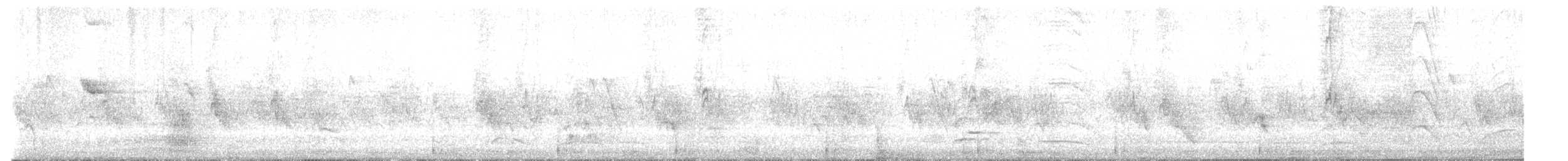 House Sparrow - ML639195062