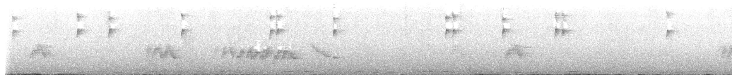 Souimanga murin - ML639196095