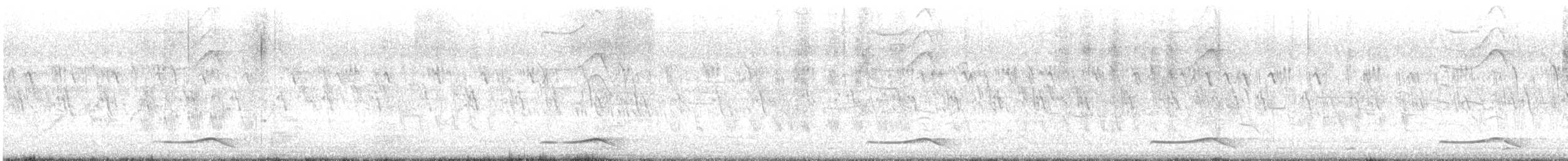 Barred Buttonquail - ML639197211