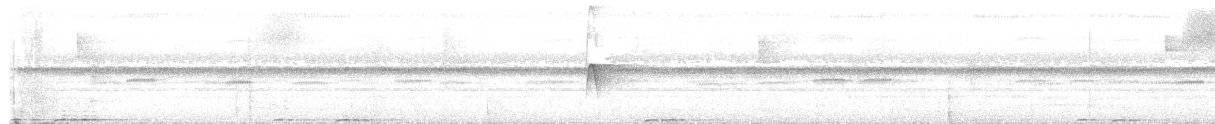 Rufous Motmot - ML639202506