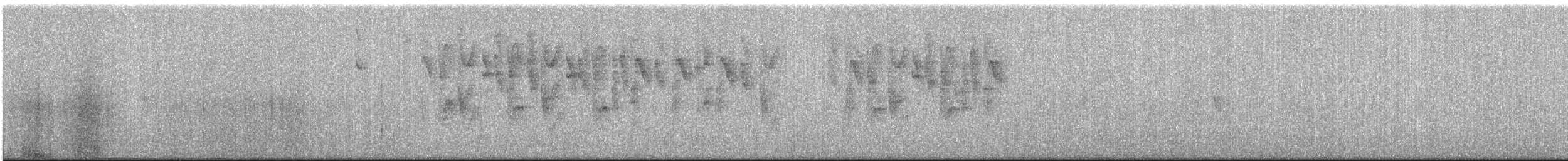 Cinereous Conebill - ML639202896