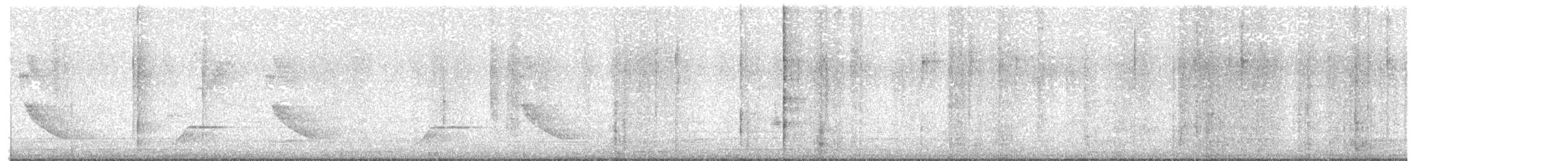 Melodious Blackbird - ML639204571