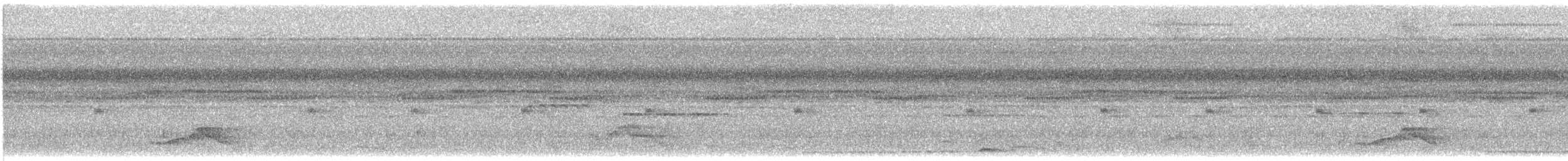 Common Pauraque - ML639207032