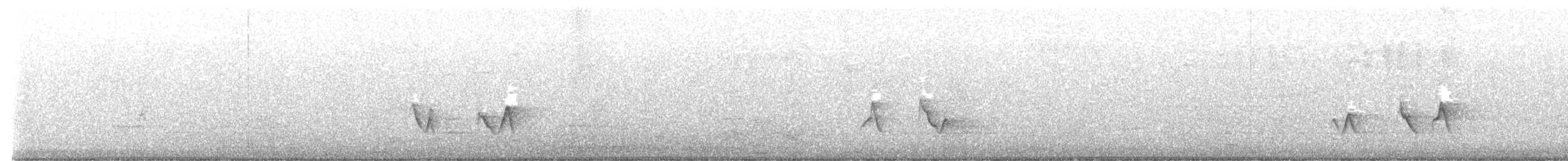 Black-whiskered Vireo - ML639207813