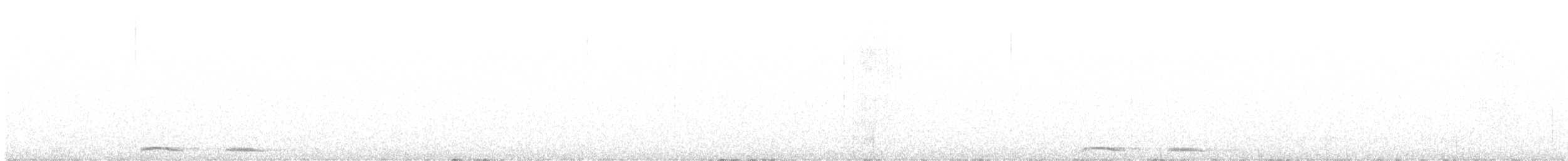 Nínox Maorí - ML639213397