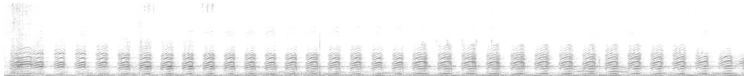 Black-and-white-casqued Hornbill - ML639213655