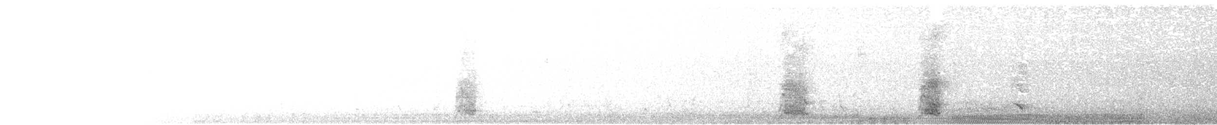 White-throated Magpie-Jay - ML639213756