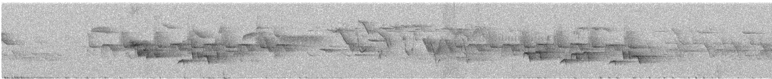 Papamoscas Narciso - ML639217073