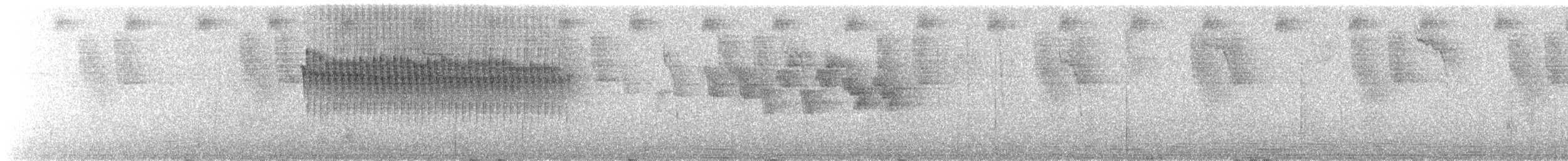 hvitsideblomsterborer - ML639218648