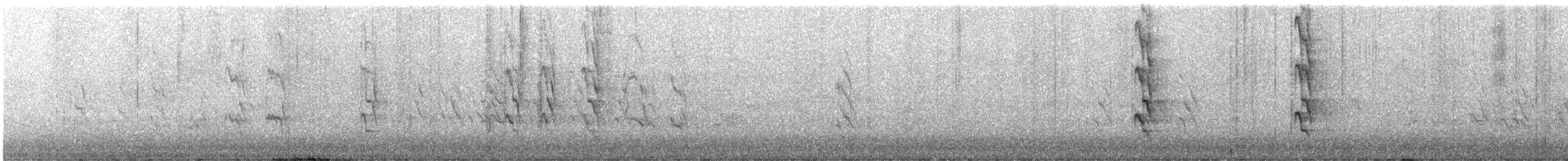 Rose-ringed Parakeet - ML639219774