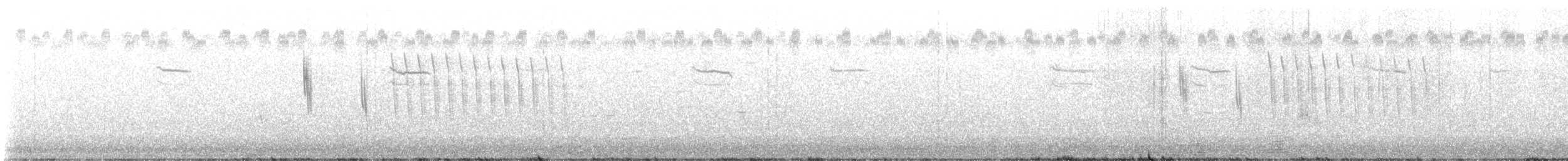 Sedge Wren - ML639220462