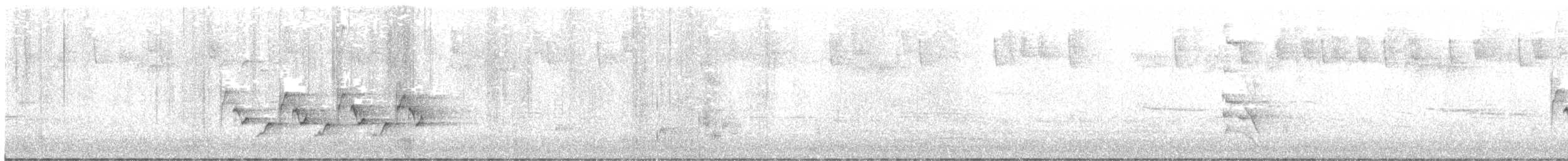Carolina Wren - ML639221207