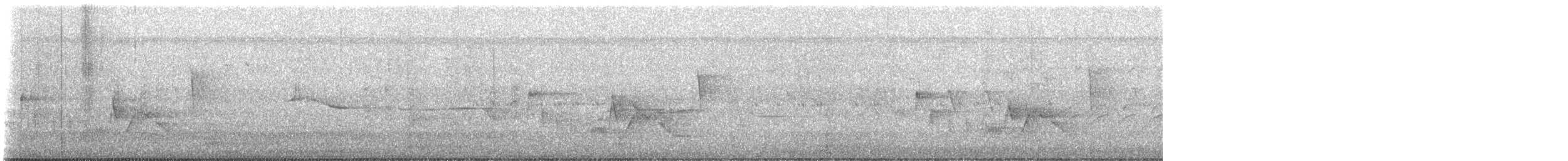 White-eyed Vireo - ML639221683